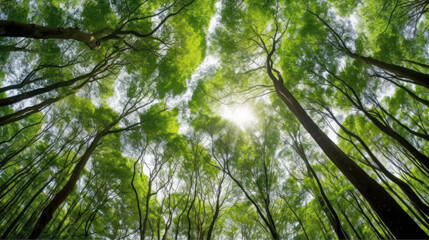 Upward Shot of Green Tree Canopies in a Forest, Generative AI