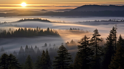 Fototapeta premium Aerial View of a Forest with Morning Mist at Dawn, Generative AI