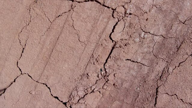 In aftermath long period of drought, there are large cracks ground.