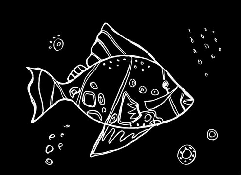 decorative white fish on a black background - graphic image