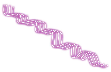 Neon bright line png. Glowing purple line on transparent background.