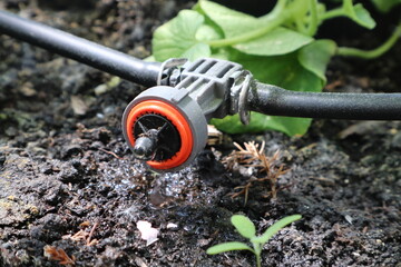 Nawadnianie kropelkowe © 777PiT