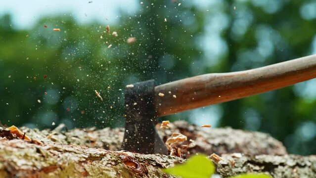 Lumberjack Working in Forest. Super Slow Motion of Chopping Wooden Logs with Axe. Filmed on High Speed Cinema Camera at 1000 fps.