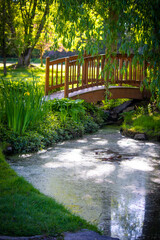 bridge in the park