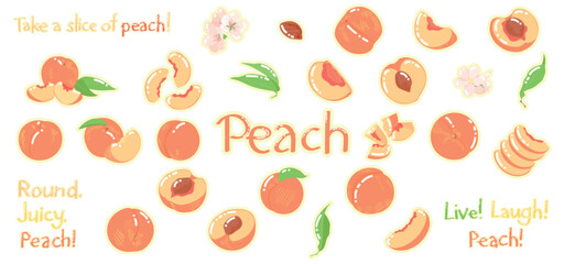 Set of many sweet peaches on white background