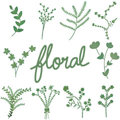 Hand drawn Floral design elements . Illustration in vintage on transparent background