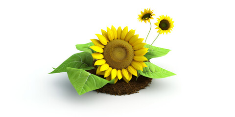 a sunflower on nature background