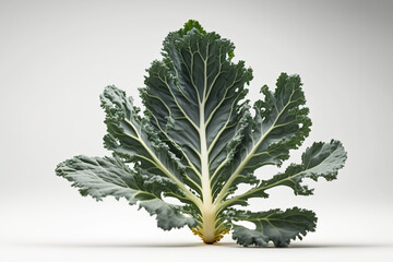 Kale leaf on a white background. created with generative AI