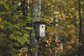 bird house on tree