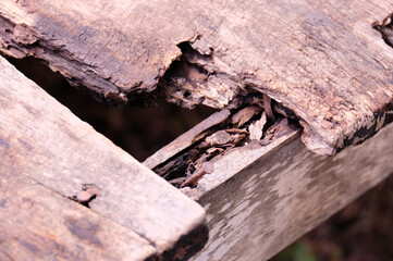 decayed wood planks decayed old wood.