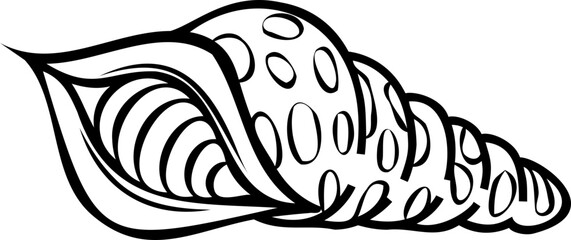 Line art shell illustration. Contour illustration with black thin line