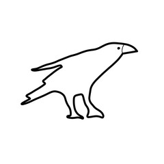 crow bird Halloween hand drawn doodle