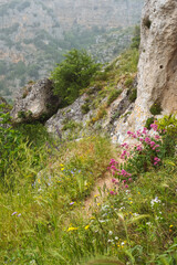 Tracking trail to old cave city Matera Italy in the meadow of Murgia Materana natural park in Basilicata Italy