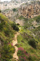 Tracking trail to old cave city Matera Italy in the meadow of Murgia Materana natural park in Basilicata Italy