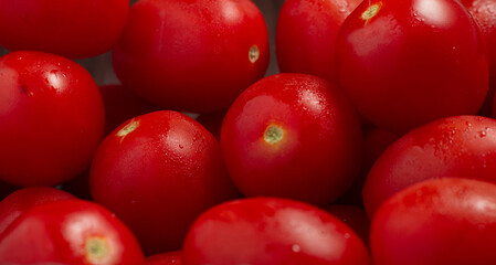 Lots of fresh ripe tomatoes with drops of dew. Close-up background