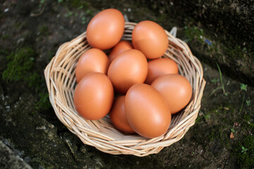 Raw chicken eggs in the egg basket on the floor