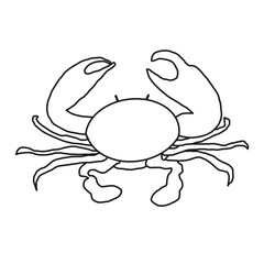 crab fresh food hand drawn doodle