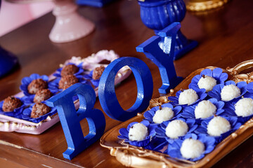 baby gender reveal party concept