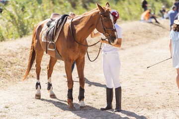 A female rider stands next to a brown horse outdoors