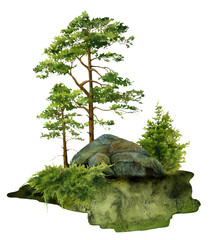 A forest landscape with rocks, junipers and pines hand drawn in watercolor. Watercolor landscape illustration.	
