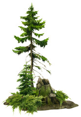 A forest landscape with a stump, firs and juniper hand drawn in watercolor. Watercolor landscape illustration.	