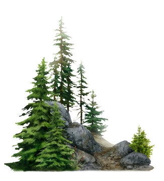 Wild landscape with trees (spruces), rocks and mountain path hand drawn in watercolor. Watercolor illustration.	
