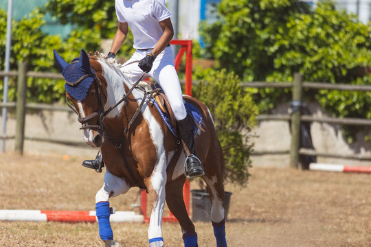 Equestrian sport - a kid in white uniform riding a horse at the ranch