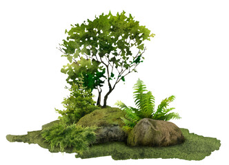 A forest landscape with rocks, juniper, bush and fern hand drawn in watercolor. Watercolor illustration.	