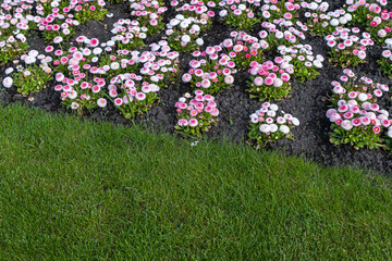 Garten300523a