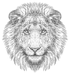 Vintage engraving isolated lion king set illustration ink sketch. Africa wild cat background animal silhouette art. Black and white hand drawn image