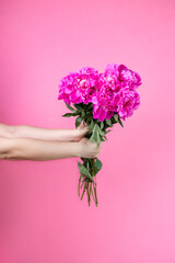 Female hand holding beautiful bouquet with fragrant peonies on pink background