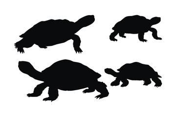 Turtle silhouette bundle. Wild turtle standing and walking in different positions. Sea creatures and reptiles like turtles, silhouettes on a white background. Tortoise full body silhouette collection.