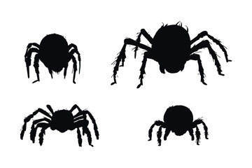 Wild insects sitting, silhouettes on a white background. Spider full body silhouette collection. Furry spiders and insects sitting in different positions. Dangerous tarantula spiders silhouette bundle