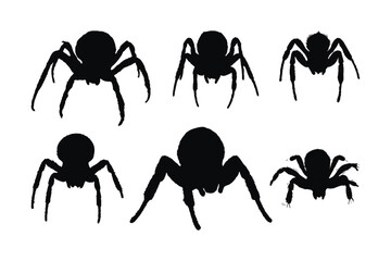 Furry spiders and insects sitting, silhouettes on a white background. Wild insects sitting in different positions. Dangerous tarantula spiders silhouette bundle. Spider full body silhouette collection