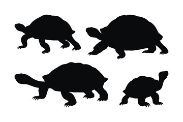 Beautiful tortoise walking and standing in different positions. Wild tortoises walking, silhouettes on a white background. Turtle full body silhouette collection. Wild tortoise silhouette bundle.