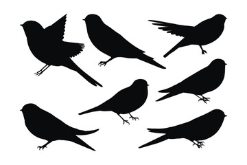 Wild swallows bird flying, silhouettes on a white background. Swallows full body silhouette collection. Beautiful birds sitting and flying in different positions. Wild swallows bird silhouette bundle.