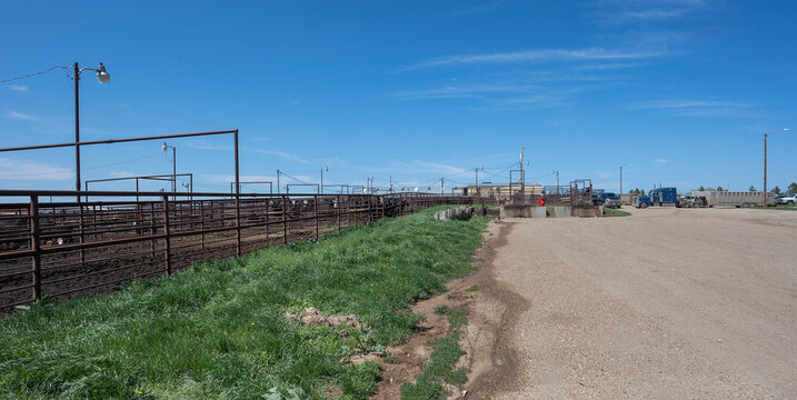 Exterior budling and corrals of a livestock auction in the town of Faith, South Dakota, USA