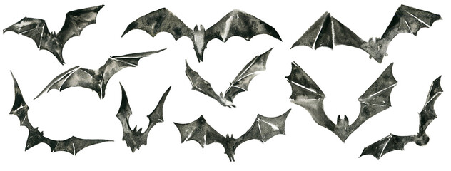 Halloween clipart watercolor bats. Halloween sticker.