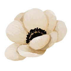 Flower Clip art Element Transparent Background