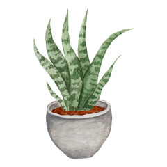 Cactus In Pot Clip art Element Transparent Background