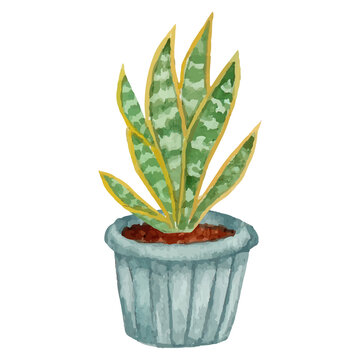 Cactus In Pot Clip art Element Transparent Background