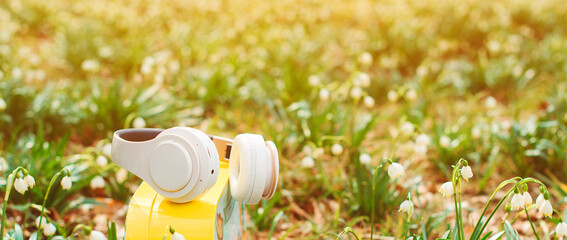 Spring flowers and headphones. Wireless headphones. Music, lifestyle and technology concept.