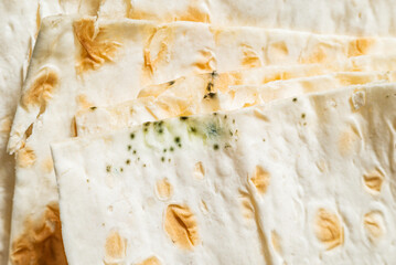 Moldy pita. Spoiled bread. Macro. Close up. Texture.