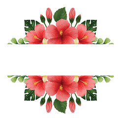 Botanical hibiscus Flower, floral bouquet Clip art Element Transparent Background