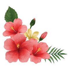 Botanical hibiscus Flower, floral bouquet Clip art Element Transparent Background