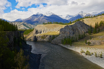 The river runs among the mountains in summer top view