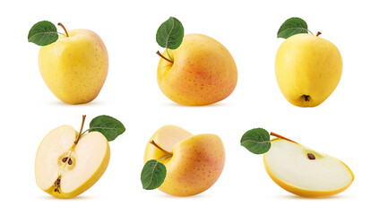 Set golden apple delicious with green leaf
