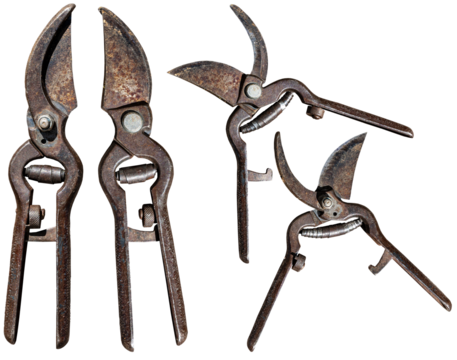 Close-up of an old rusty pruning shears isolated on white or transparent background, open and closed, photography, png.