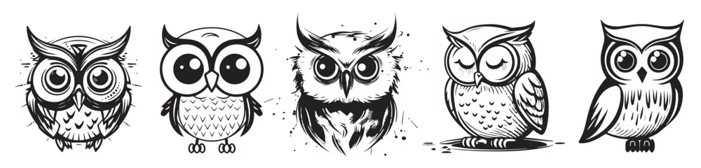 Door stickers Owl Cartoons Owl vector silhouette illustration
