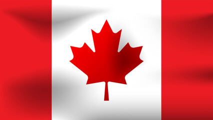Fototapeta na wymiar wavy canadian flag vector illustration in realistic style